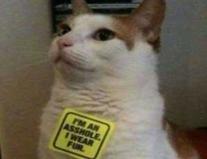 how is mogothrow77 software installation