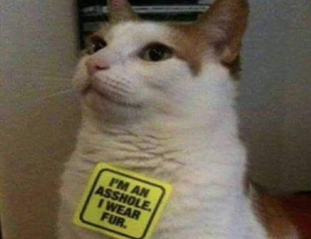 how is mogothrow77 software installation