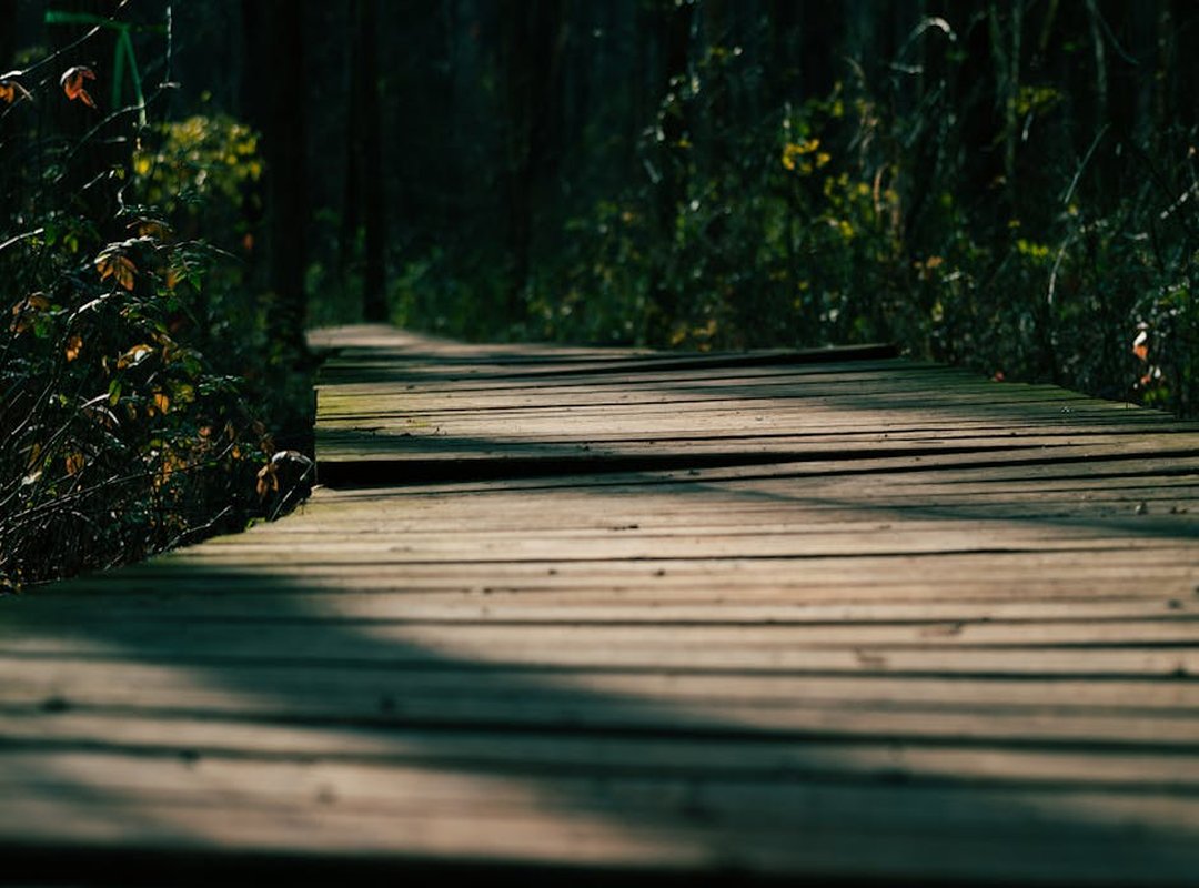 Software Doxfore5 Dying