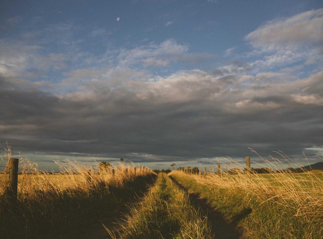 Beyond Translation: A Deeper Analysis of the Lyrics