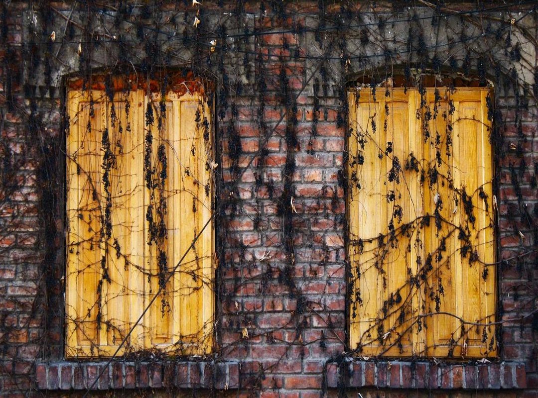 Beyond 'Pookie': Authentic Filipino Terms of Endearment to Use Instead