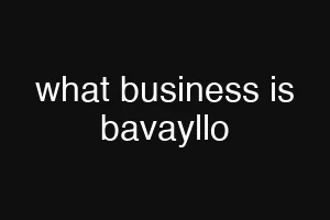 what business is bavayllo