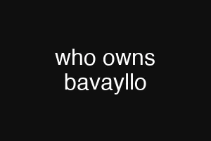 who owns bavayllo